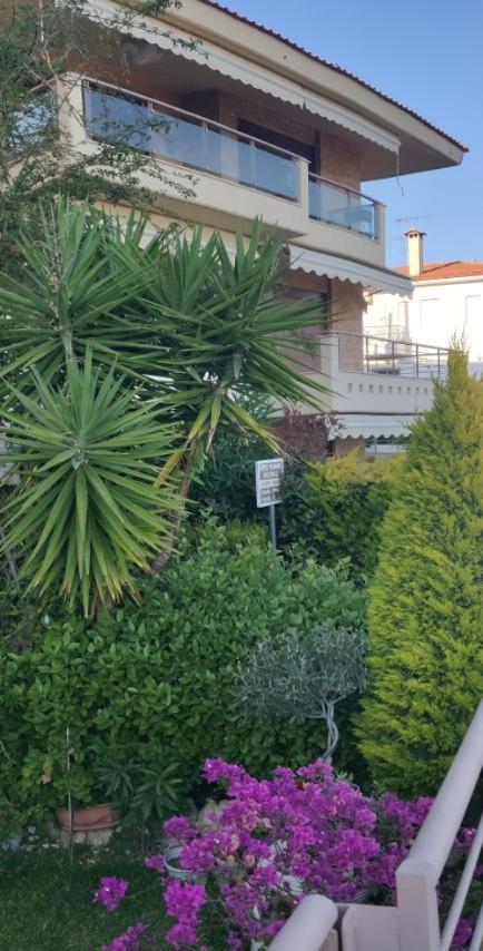 Sunny 30m From The